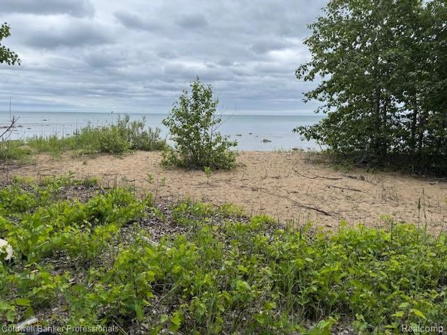 0 Lakeshore Road Forestville, MI 48434 - Photo 4 of 16 Gallery Image 4