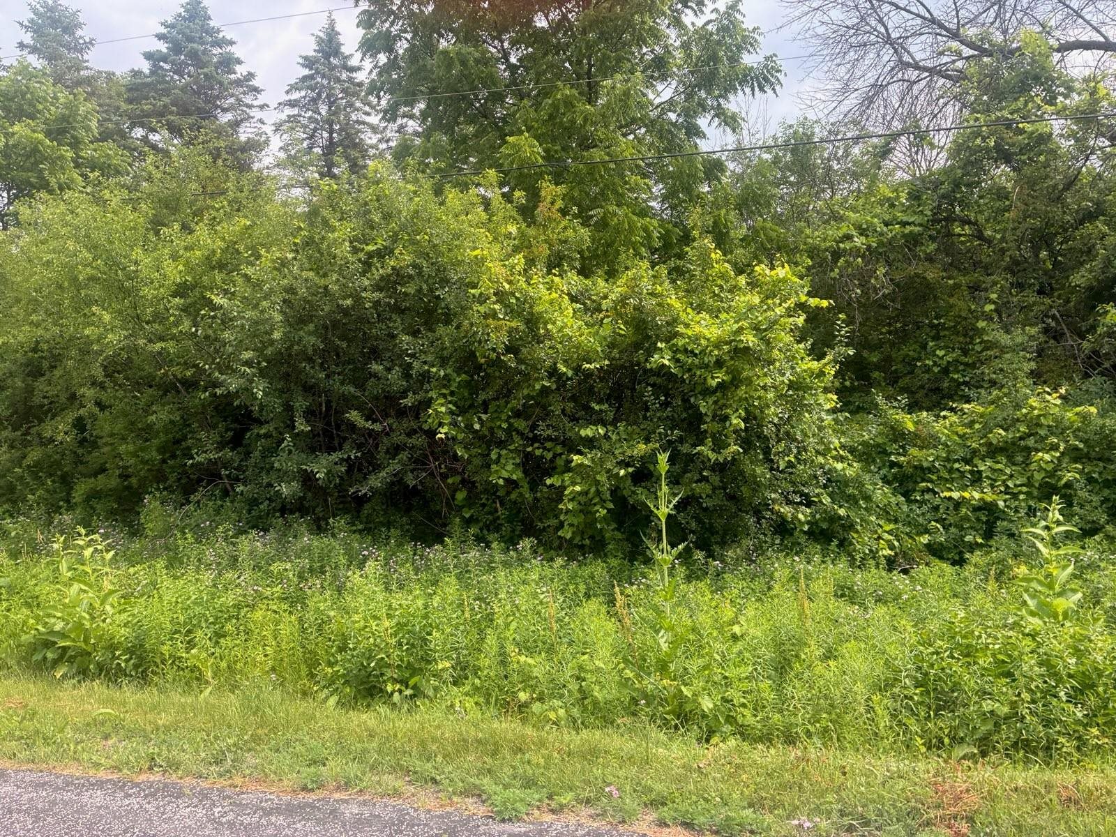 Whitewater Drive Manitowoc, WI 54220 - Photo 1 of 4