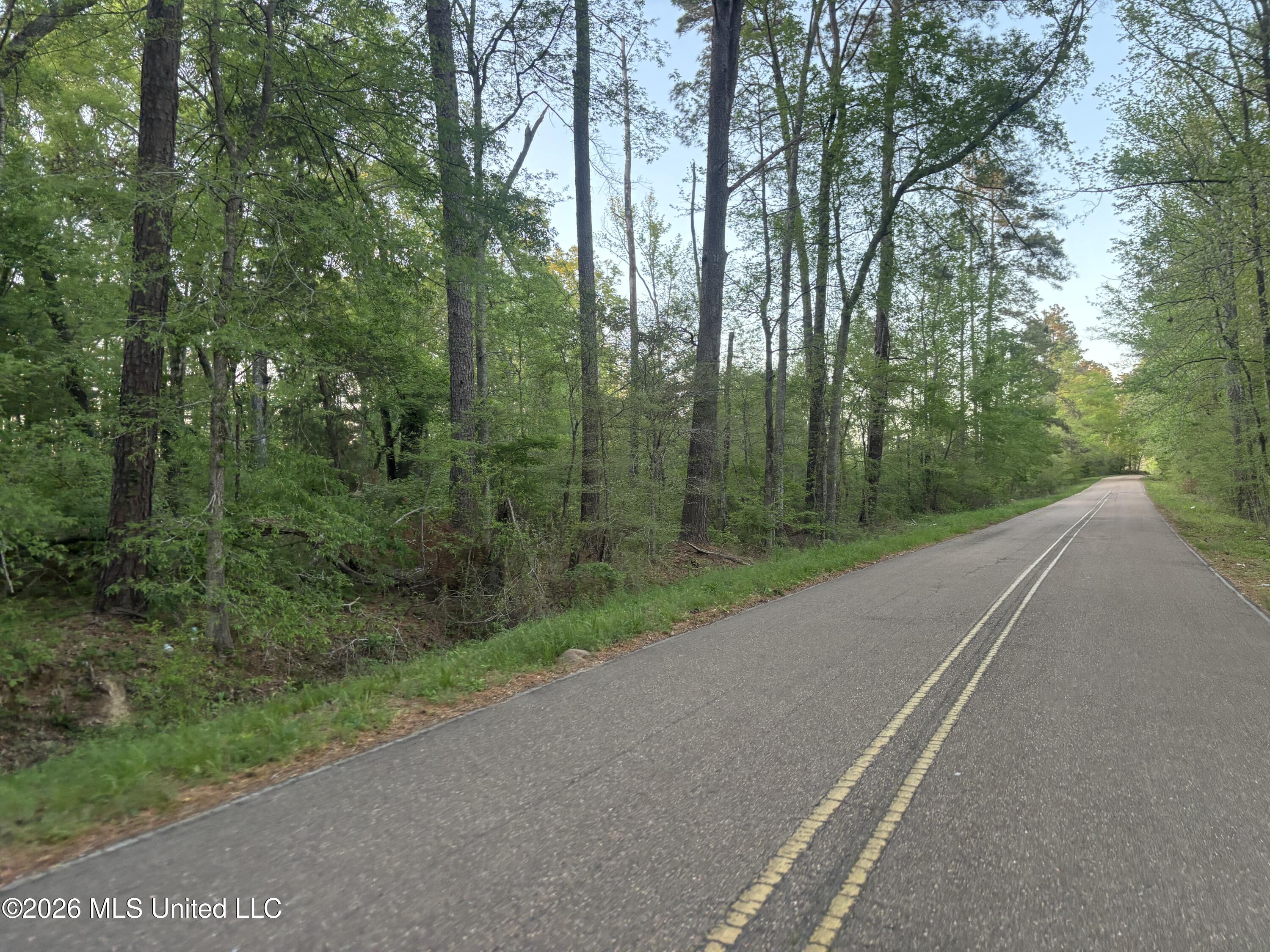 0 Newman Road Edwards, MS 39066 - Photo 13 of 18 IMG_3347