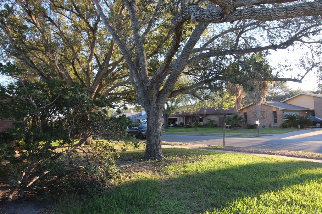 1910 Oak Ridge Drive Portland, TX 78374 - Photo 3 of 40 a view of yard with tree