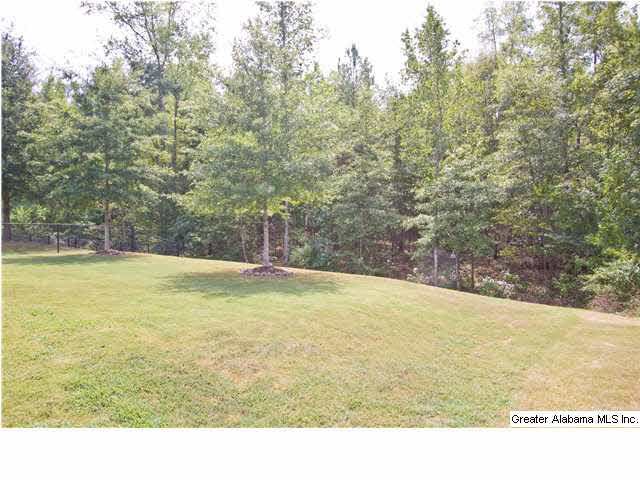 433 Ballantrae Road Pelham, AL 35124 - Photo 20 of 23