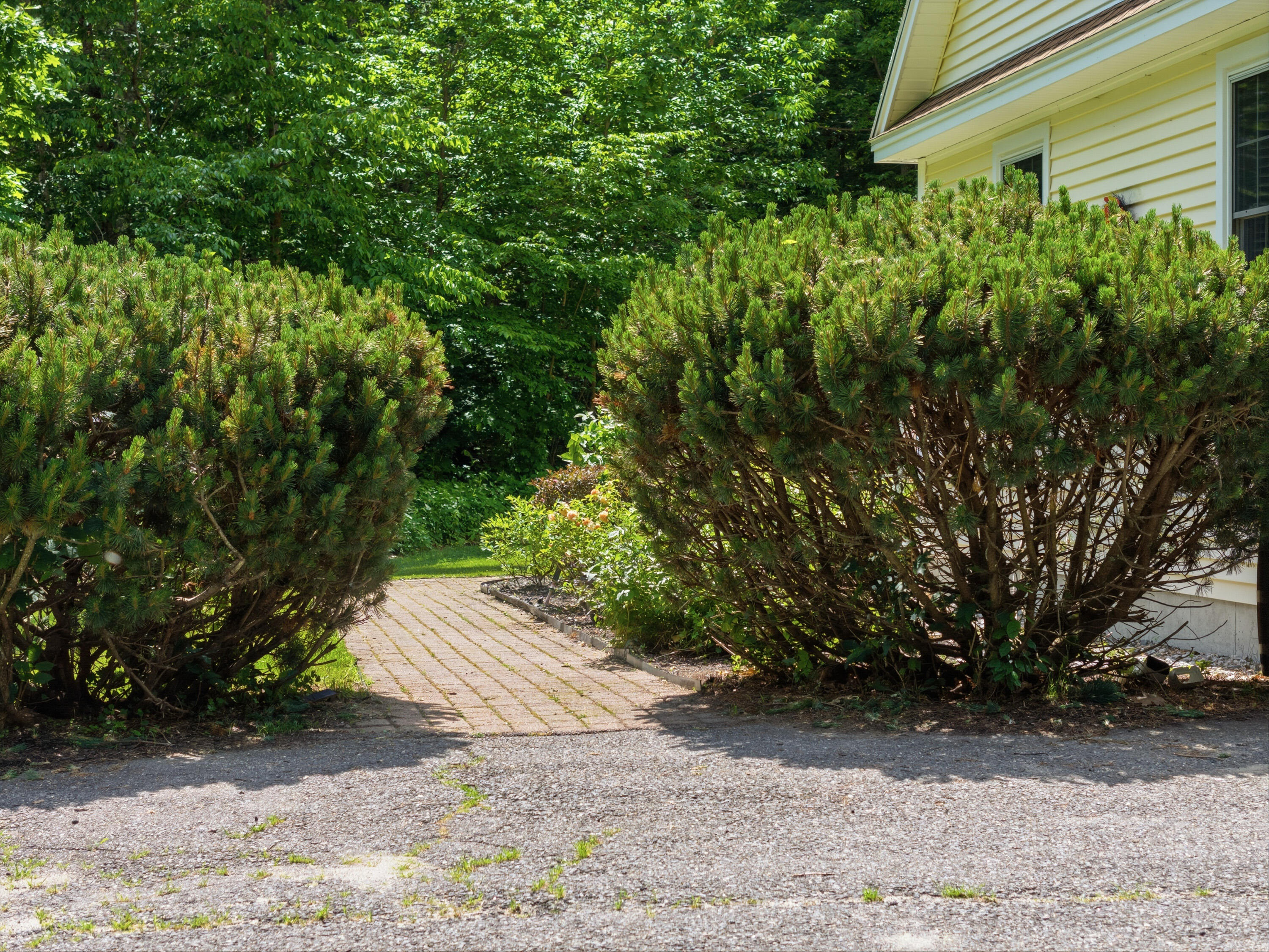 155 Highland Cliff Road Windham, ME 04062 - Photo 15 of 69 155 Highland Cliff Rd_105