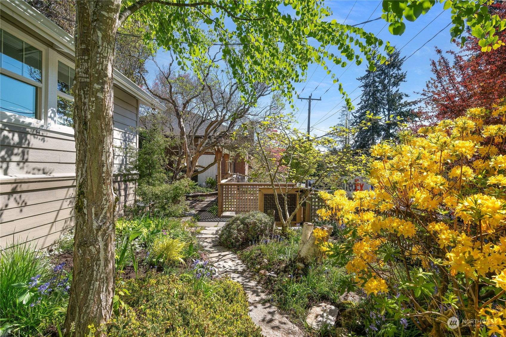 1408 Northwest 73rd Street Seattle, WA 98117 - Photo 35 of 40 a view of a tree in a garden