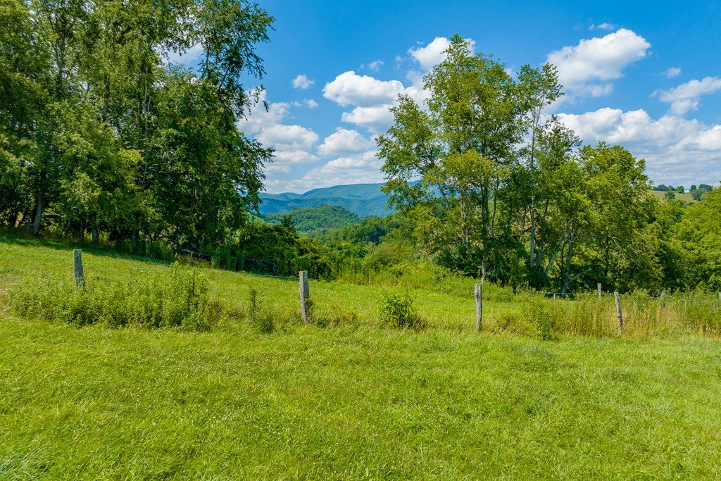 Tbd Clinchburg Road Meadowview, VA 24361 - Photo 13 of 43 Gallery Image 13