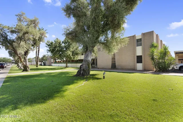 a view of an house with backyard and a tree