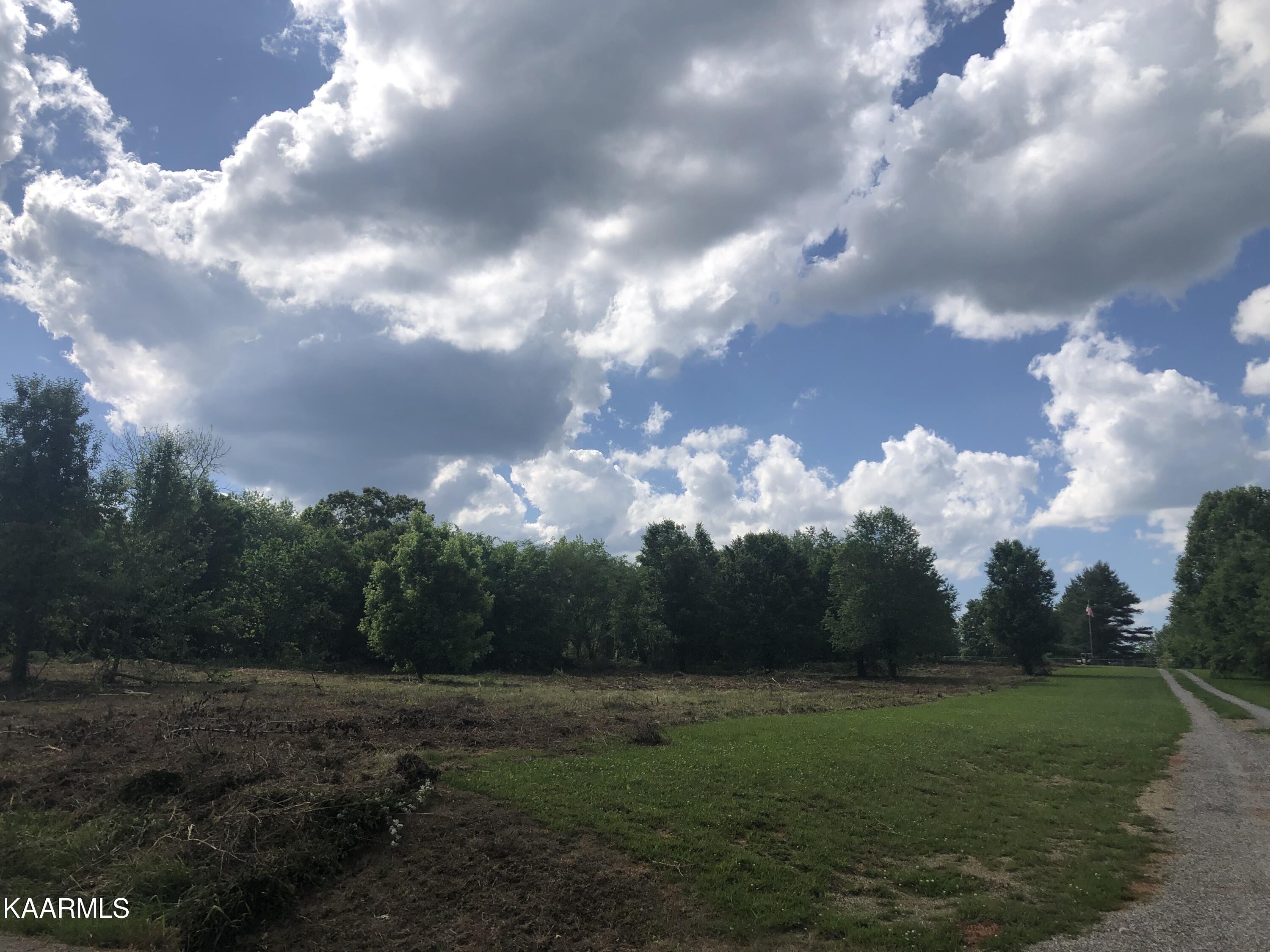 Tittsworth Springs Rd Road Seymour, TN 37865 - Photo 8 of 10 514DD79F-F808-40E1-B5DD-AF6B711FEECD