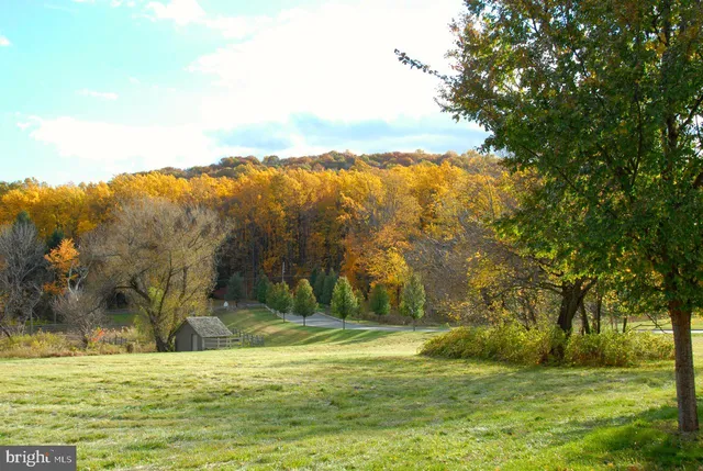 a view of a yard with an trees
