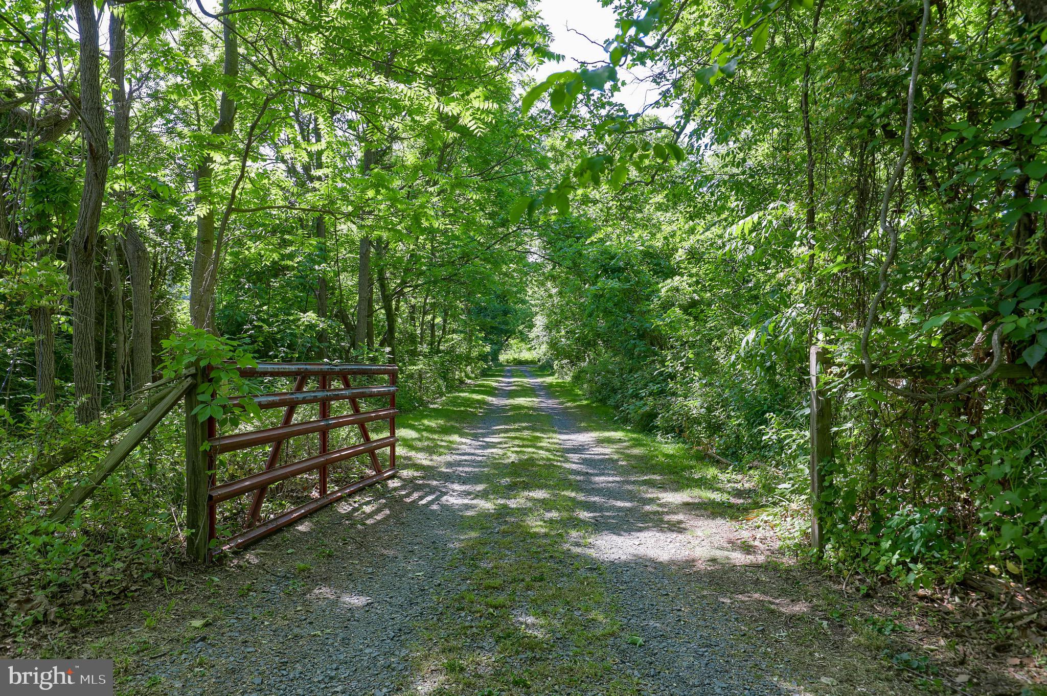 1252 Cocalico Road Birdsboro, PA 19508 - Photo 38 of 66 shaded driveway