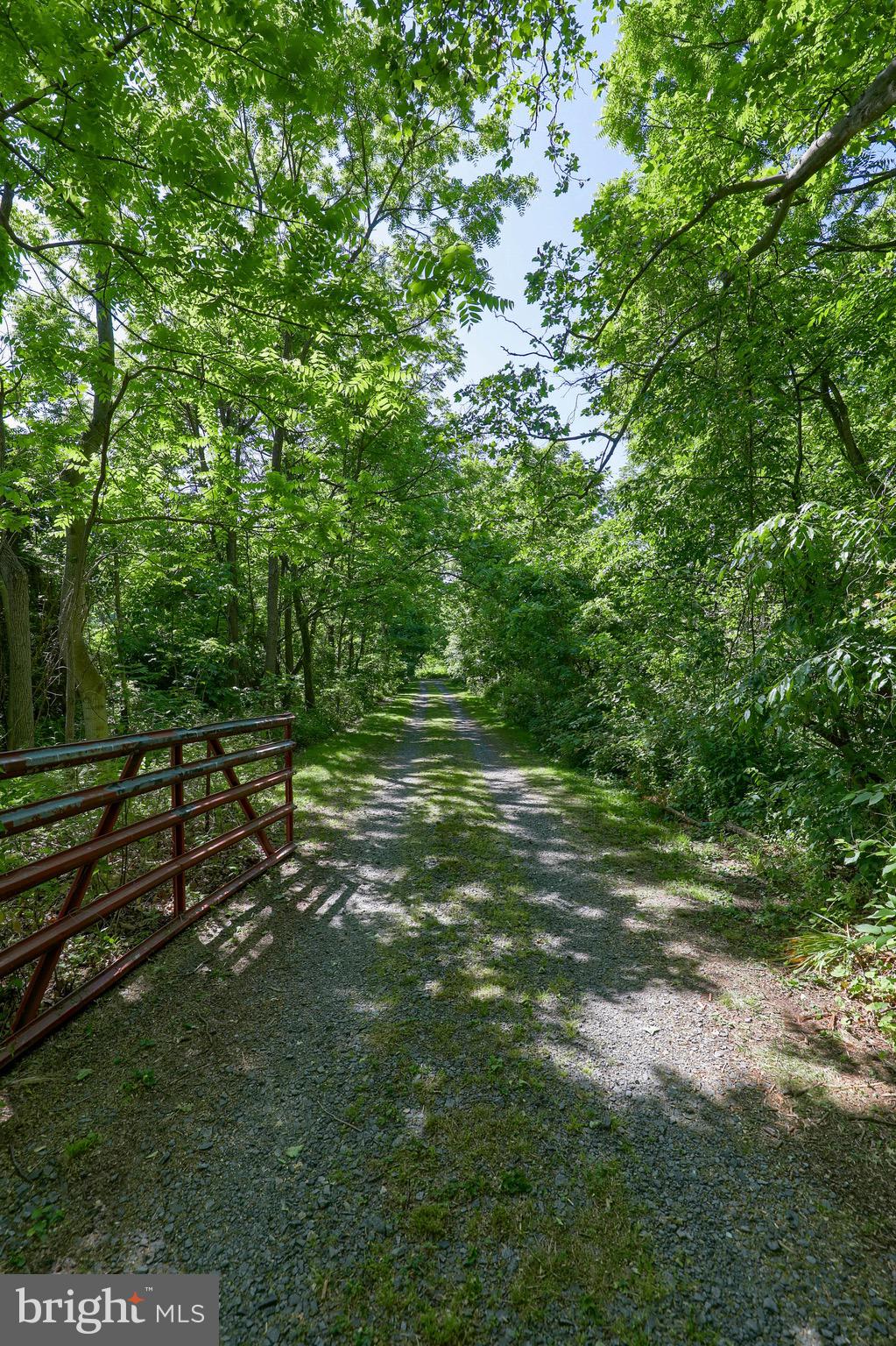 1252 Cocalico Road Birdsboro, PA 19508 - Photo 39 of 66 driveway