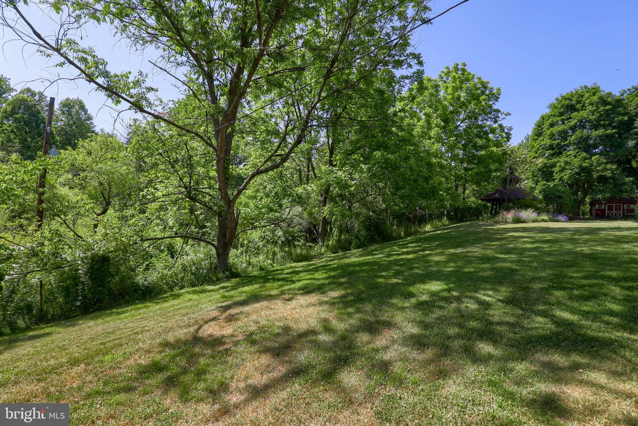 1252 Cocalico Road Birdsboro, PA 19508 - Photo 44 of 66 wooded land