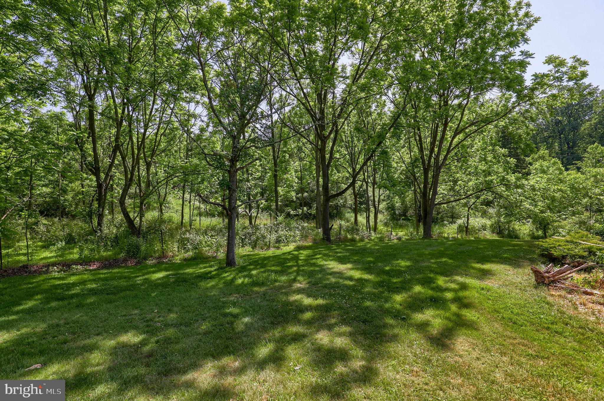 1252 Cocalico Road Birdsboro, PA 19508 - Photo 45 of 66 yard