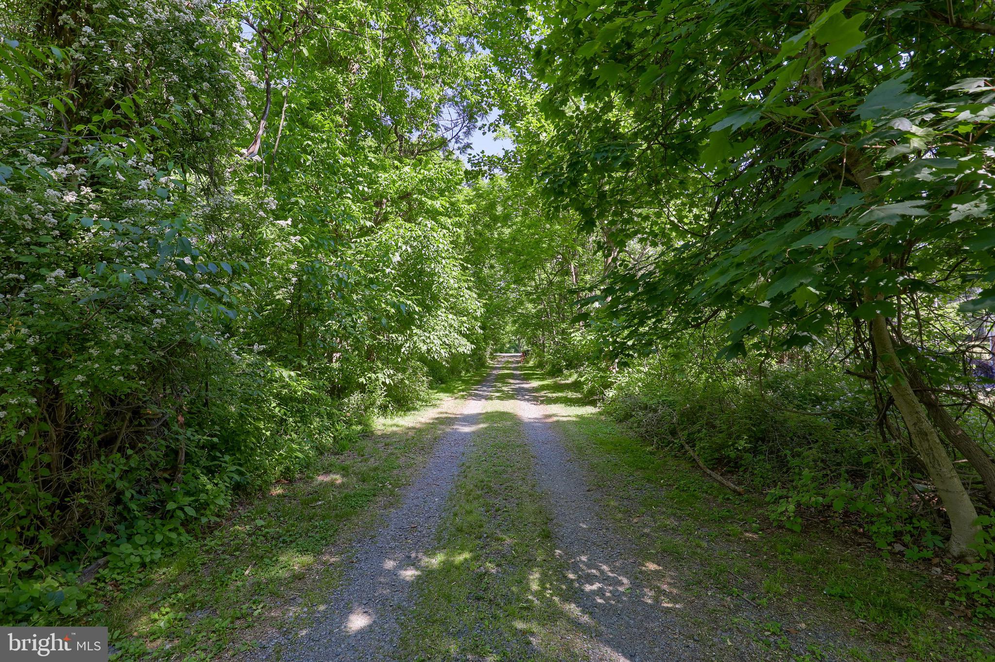 1252 Cocalico Road Birdsboro, PA 19508 - Photo 63 of 66 stone driveway