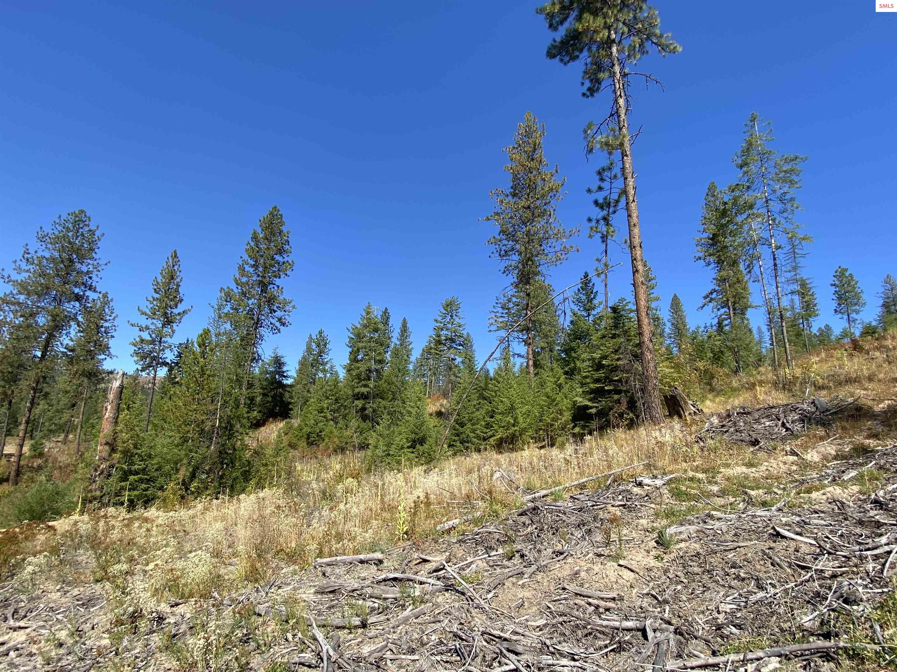 Nka Nka Stone Road Blanchard, ID 83804 - Photo 10 of 26 Gallery Image 10
