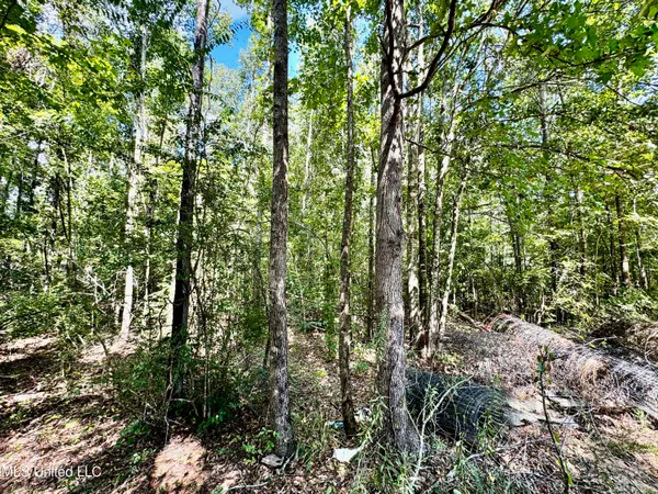 $430,000 | 250-274 Everett Church Road, Mendenhall, MS 39114