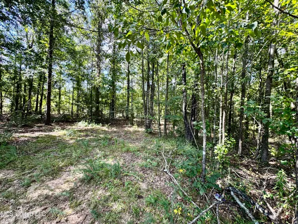 $430,000 | 250-274 Everett Church Road, Mendenhall, MS 39114