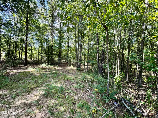 $430,000 | 250-274 Everett Church Road, Mendenhall, MS 39114