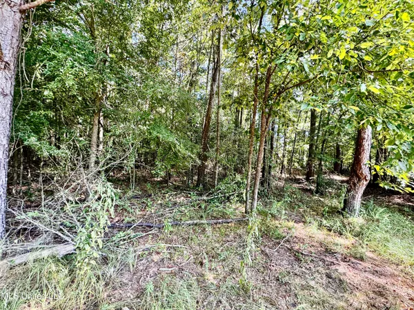 $430,000 | 250-274 Everett Church Road, Mendenhall, MS 39114