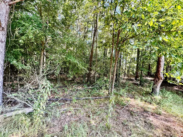 $430,000 | 250-274 Everett Church Road, Mendenhall, MS 39114