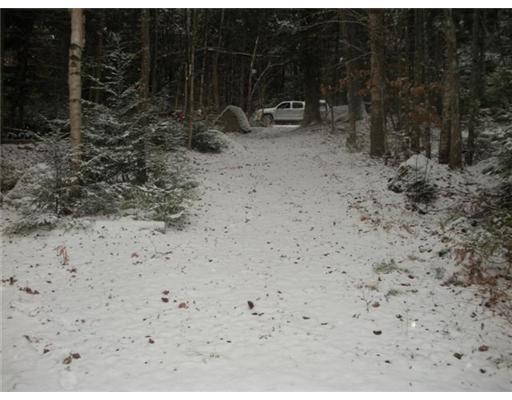 Lot 144 Sandy Beach Road Danforth, ME 04424 - Photo 3 of 5 Other. Right of Way Path from the Lake