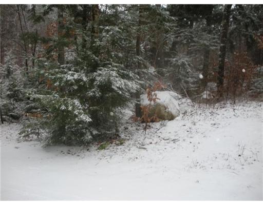 Lot 144 Sandy Beach Road Danforth, ME 04424 - Photo 4 of 5 Other. Lot Frontage on on Sandy...