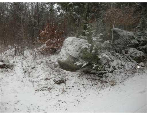 Lot 144 Sandy Beach Road Danforth, ME 04424 - Photo 5 of 5 Other. Lot Fronage on Sandy Beach Road