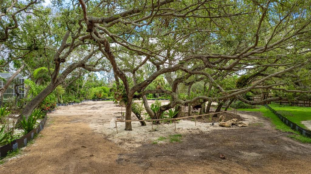 7247 Turnstone Road Sarasota, FL 34242 - Photo 3 of 11 a view of tree