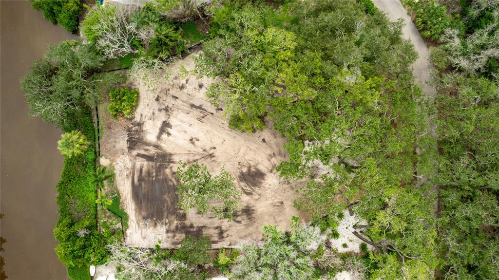 7247 Turnstone Road Sarasota, FL 34242 - Photo 4 of 11 a view of a yard with plants and tree