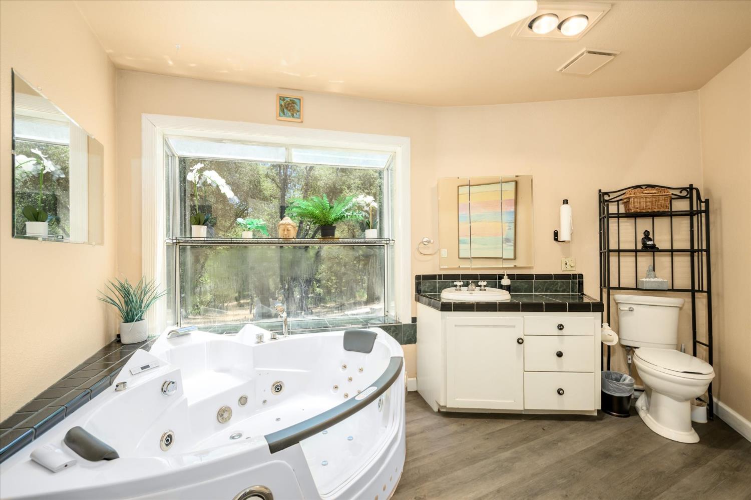 1410 Sand Ridge Road El Dorado, CA 95623 - Photo 21 of 51 Downstairs guest bath