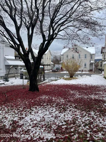 a large tree in the middle of a yard