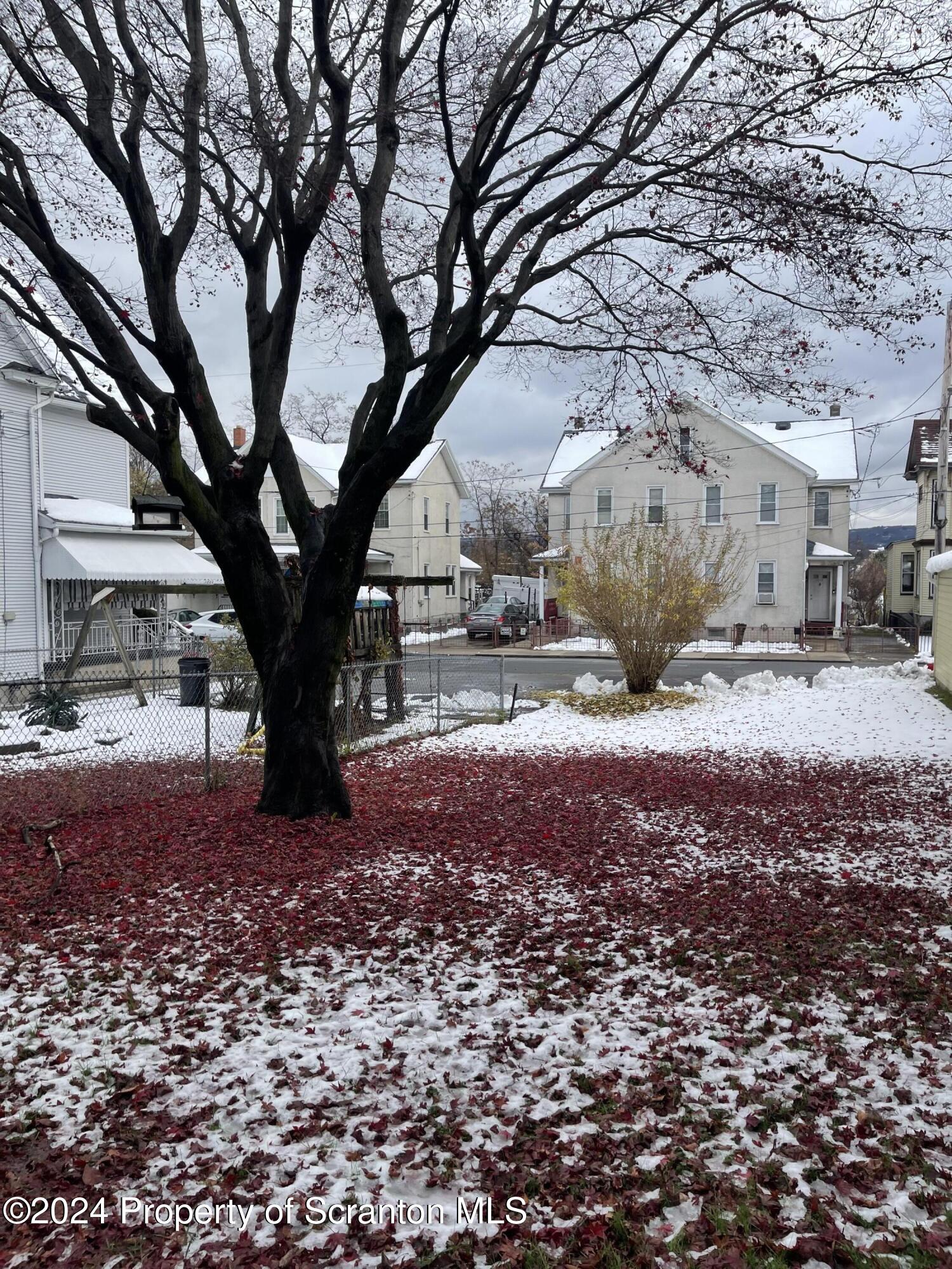 1230 Providence Road, Unit 2 Scranton, PA 18508 - Photo 2 of 10 a large tree in the middle of a yard