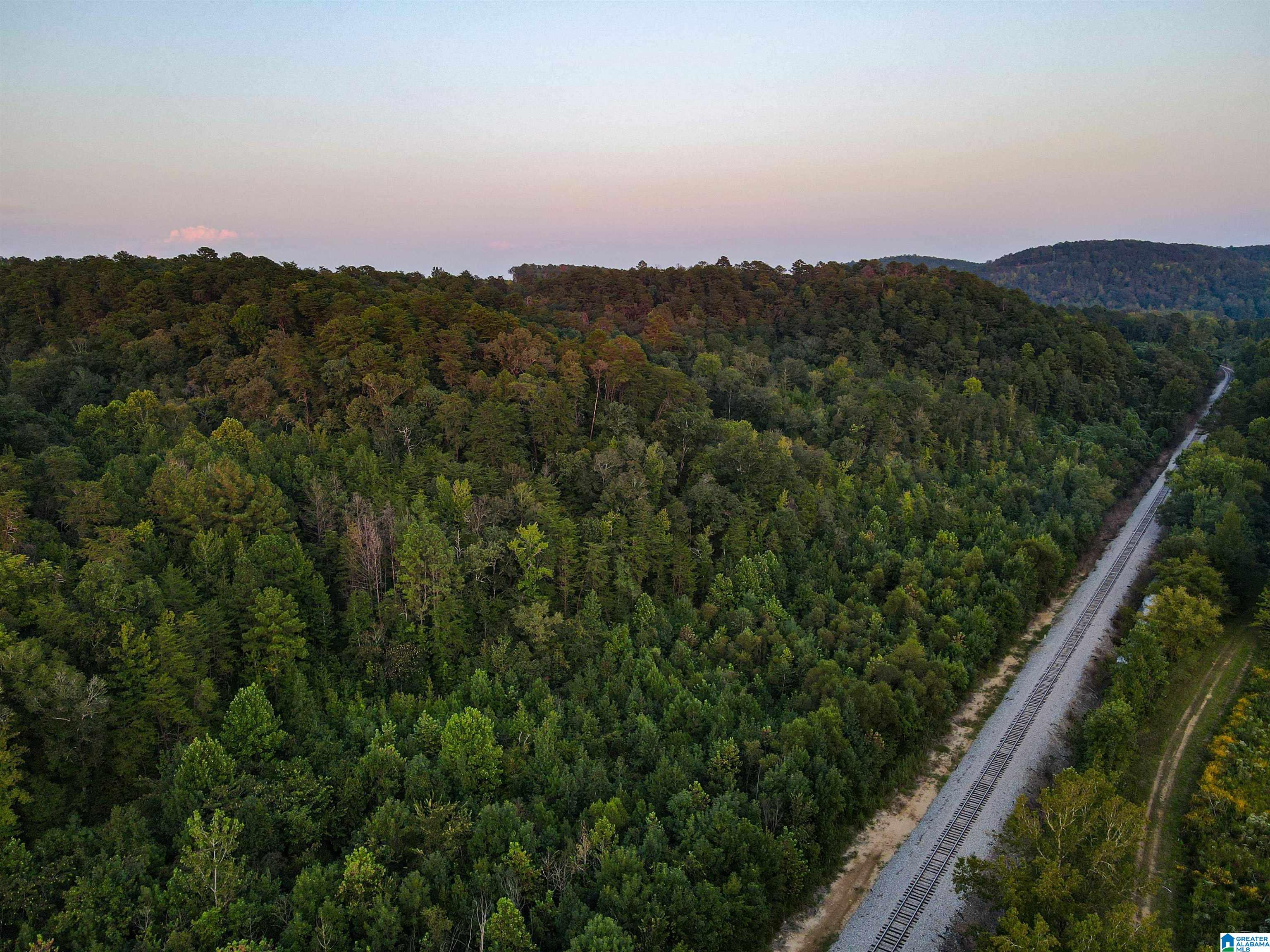 1 Highway 18, Unit 1 Oakman, AL 35579 - Photo 36 of 46
