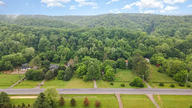 a view of a yard with a swimming pool