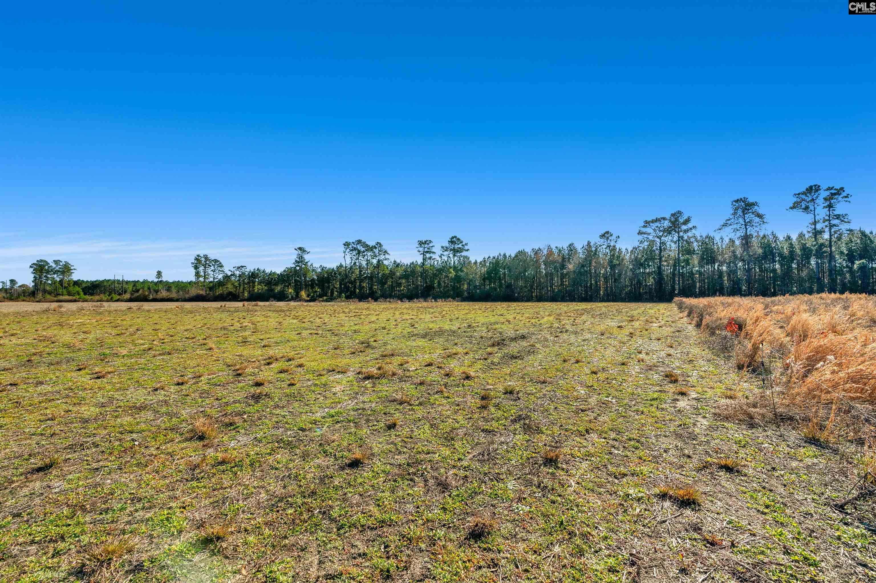 1745 Williams Hill Road Hemingway, SC 29554 - Photo 20 of 25