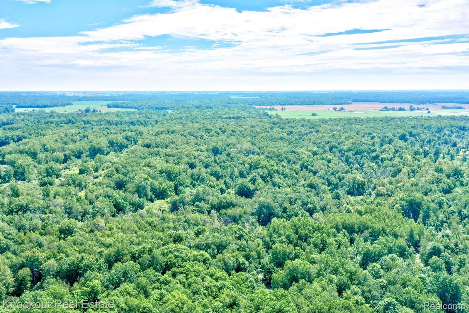1000 West Kitchen Road Rhodes, MI 48652 - Photo 23 of 34 Kitchen Lots Bay County-20.jpg