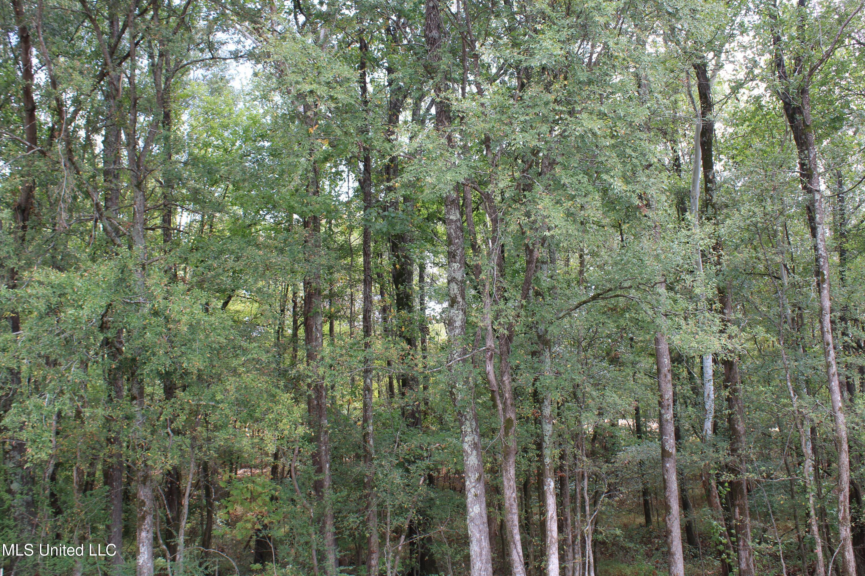 21 Hickory Hollow Road Coldwater, MS 38618 - Photo 35 of 70 IMG_6595