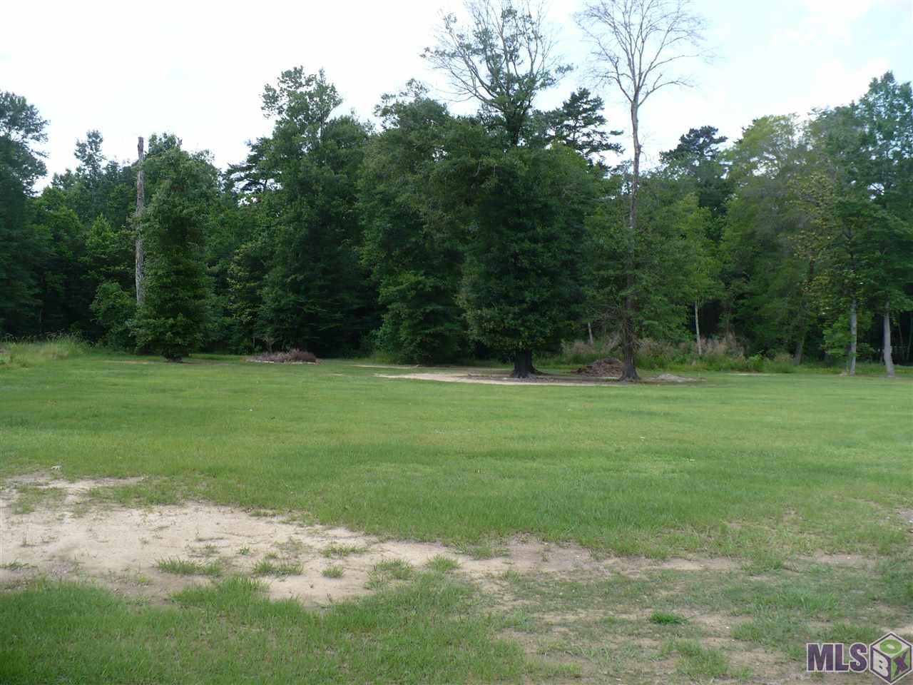 Lot 11 Clinton Allen Road Denham Springs, LA 70706 - Photo 1 of 1