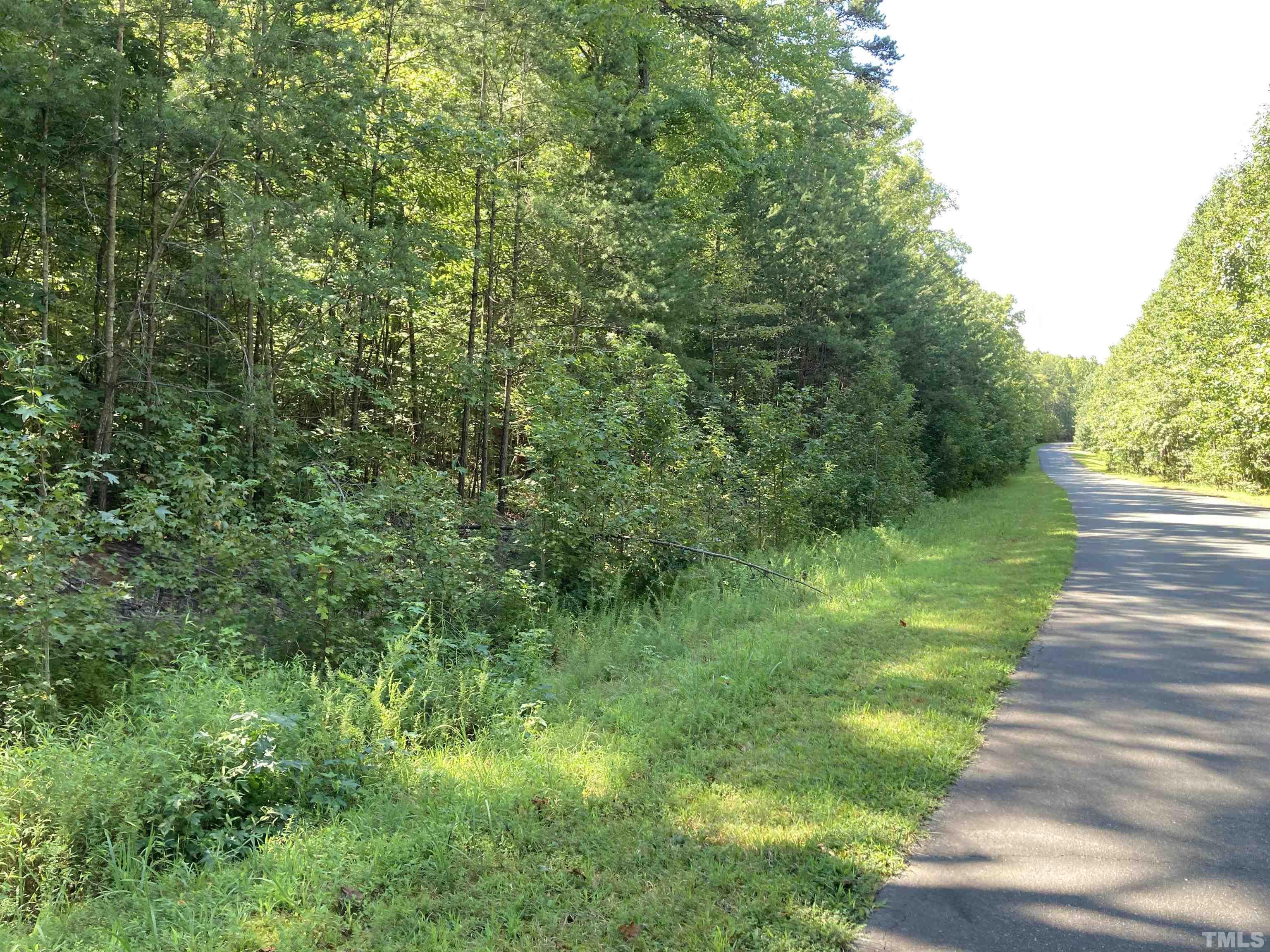 Lot 1 Westridge Road Rougemont, NC 27572 - Photo 2 of 8 a view of a yard with plants and large trees