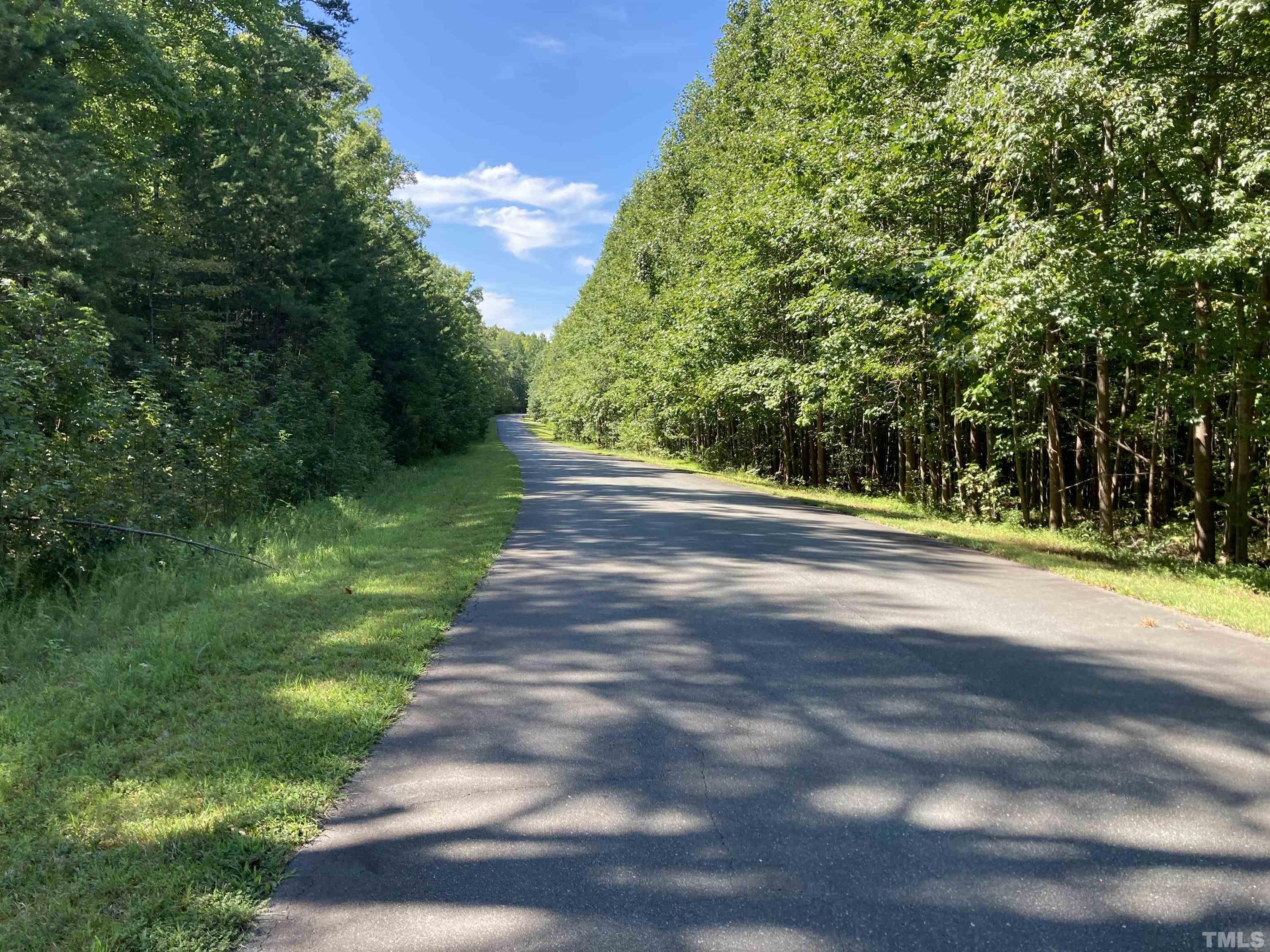 Lot 1 Westridge Road Rougemont, NC 27572 - Photo 3 of 8 a view of a yard with large trees