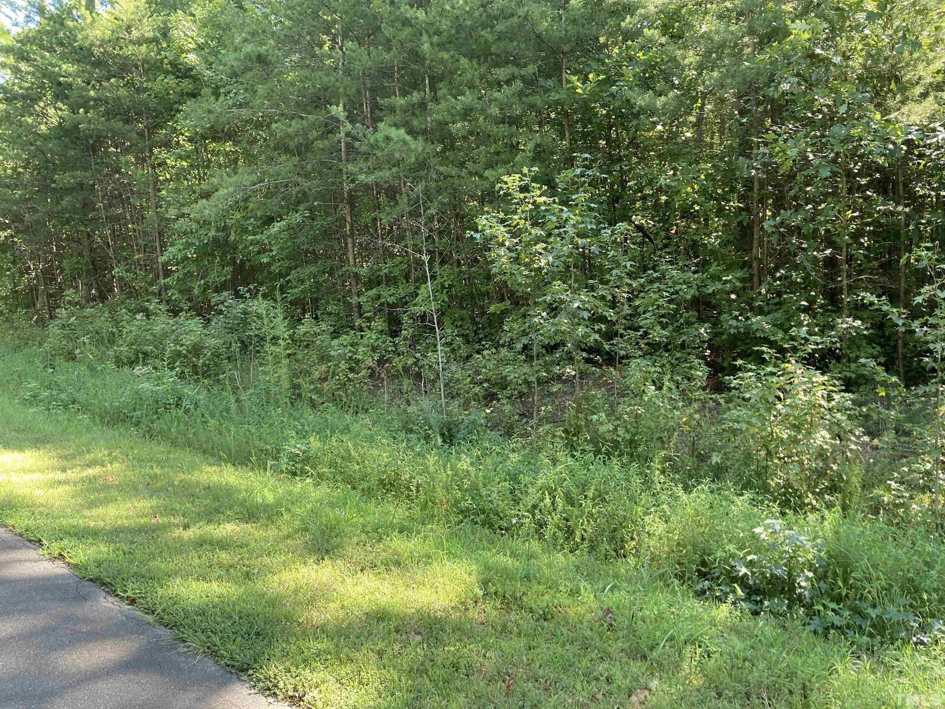 Lot 1 Westridge Road Rougemont, NC 27572 - Photo 6 of 8 a view of a lush green forest