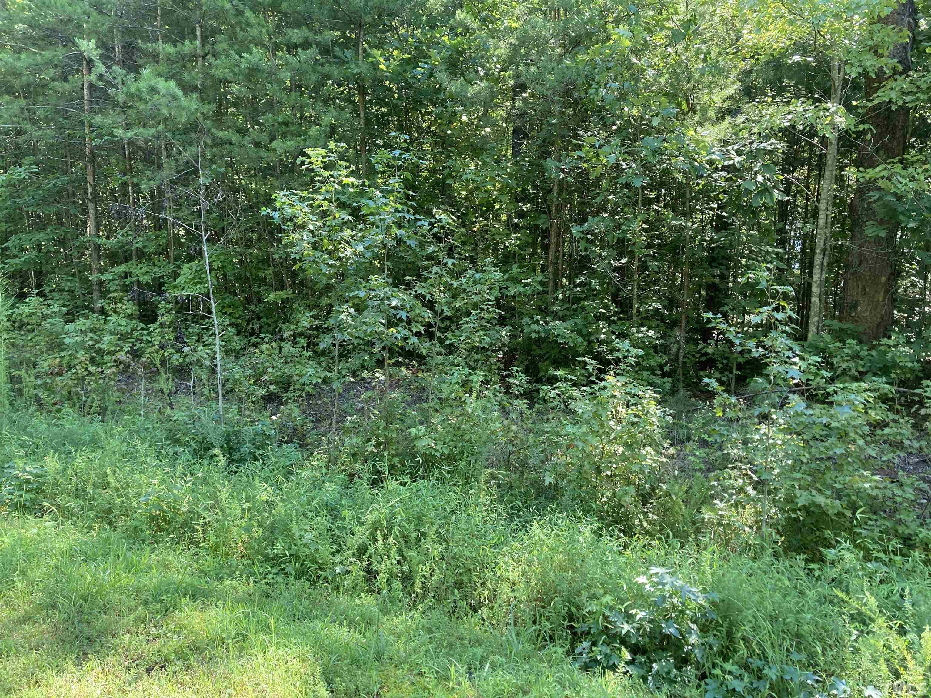 Lot 1 Westridge Road Rougemont, NC 27572 - Photo 7 of 8