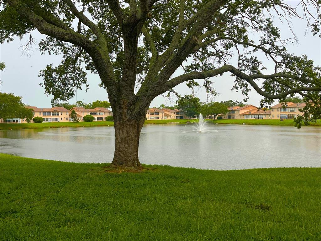 3835 Sailmaker Lane Holiday, FL 34691 - Photo 41 of 45