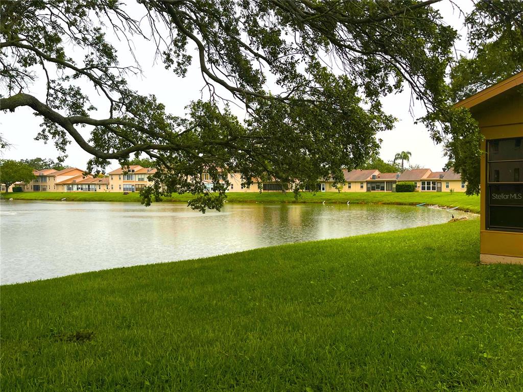 3835 Sailmaker Lane Holiday, FL 34691 - Photo 42 of 45