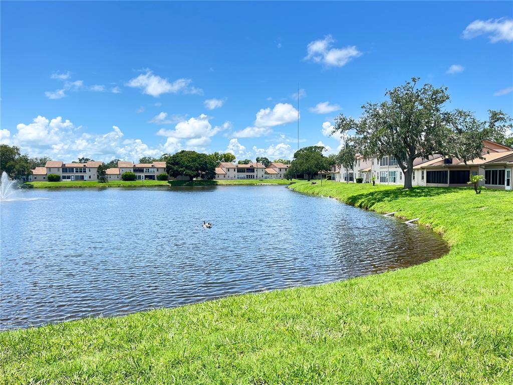 3835 Sailmaker Lane Holiday, FL 34691 - Photo 9 of 45