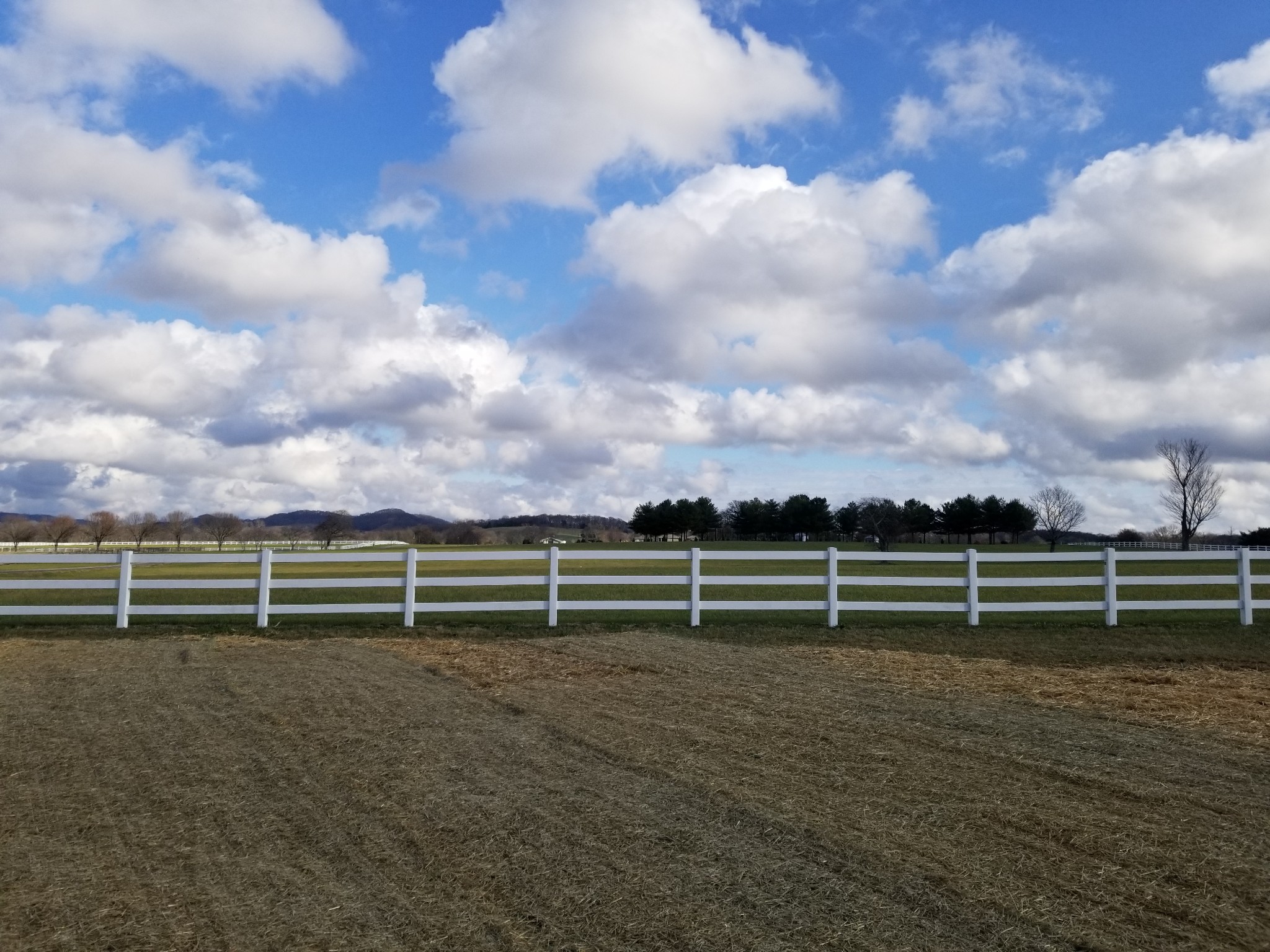 744 Rock Springs Road Castalian Springs, TN 37031 - Photo 11 of 38 Gallery Image 11