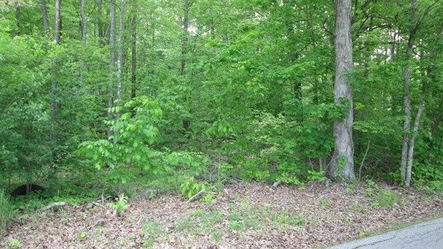 1 Hall Road Flemingsburg, KY 41041 - Photo 1 of 3 Photo 1