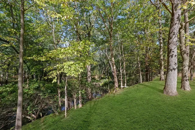 a view of a park with large trees