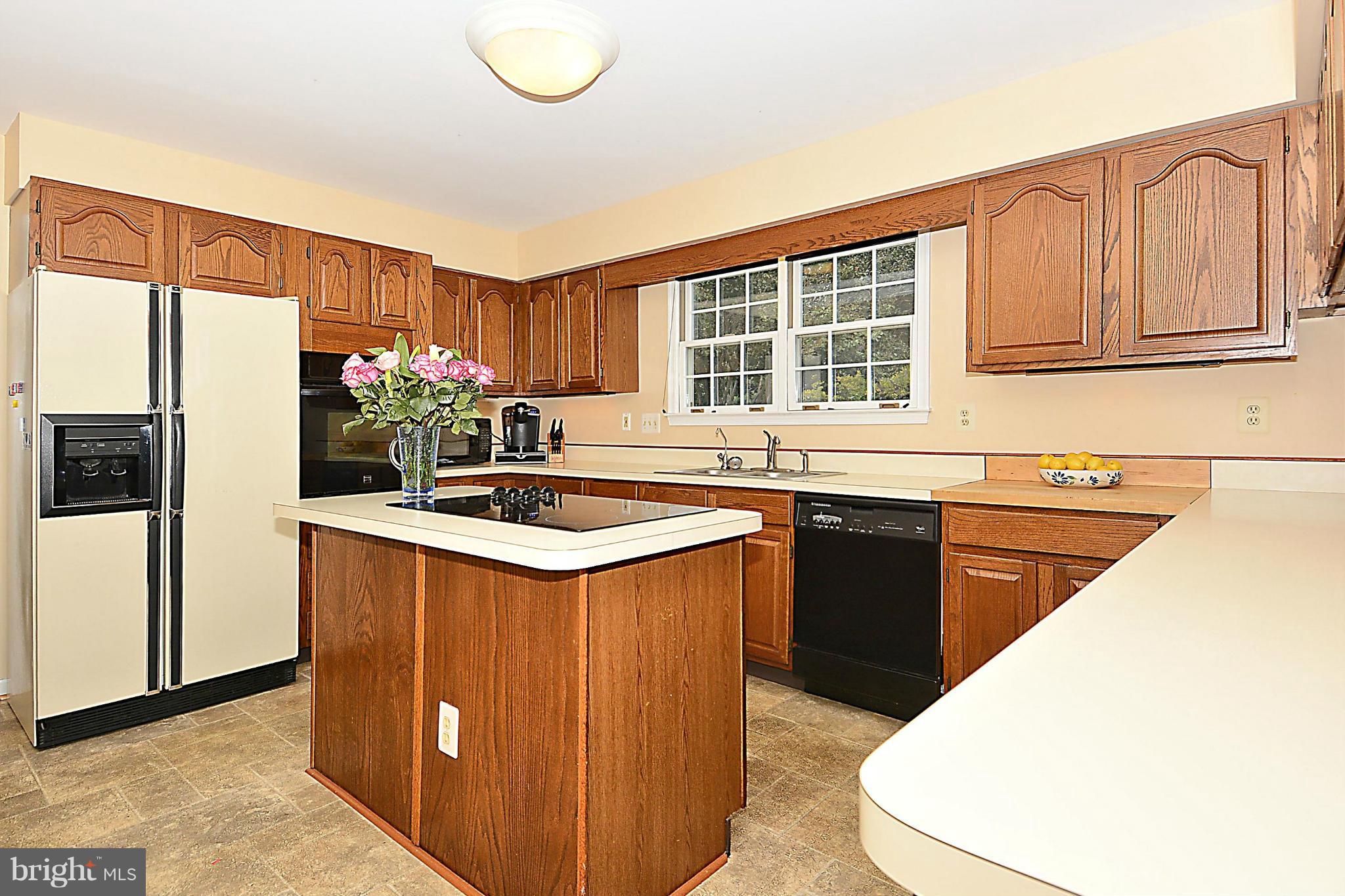 1879 Cherry Road Annapolis, MD 21409 - Photo 8 of 30 KITCHEN WITH VIEWS OF BACK YARD