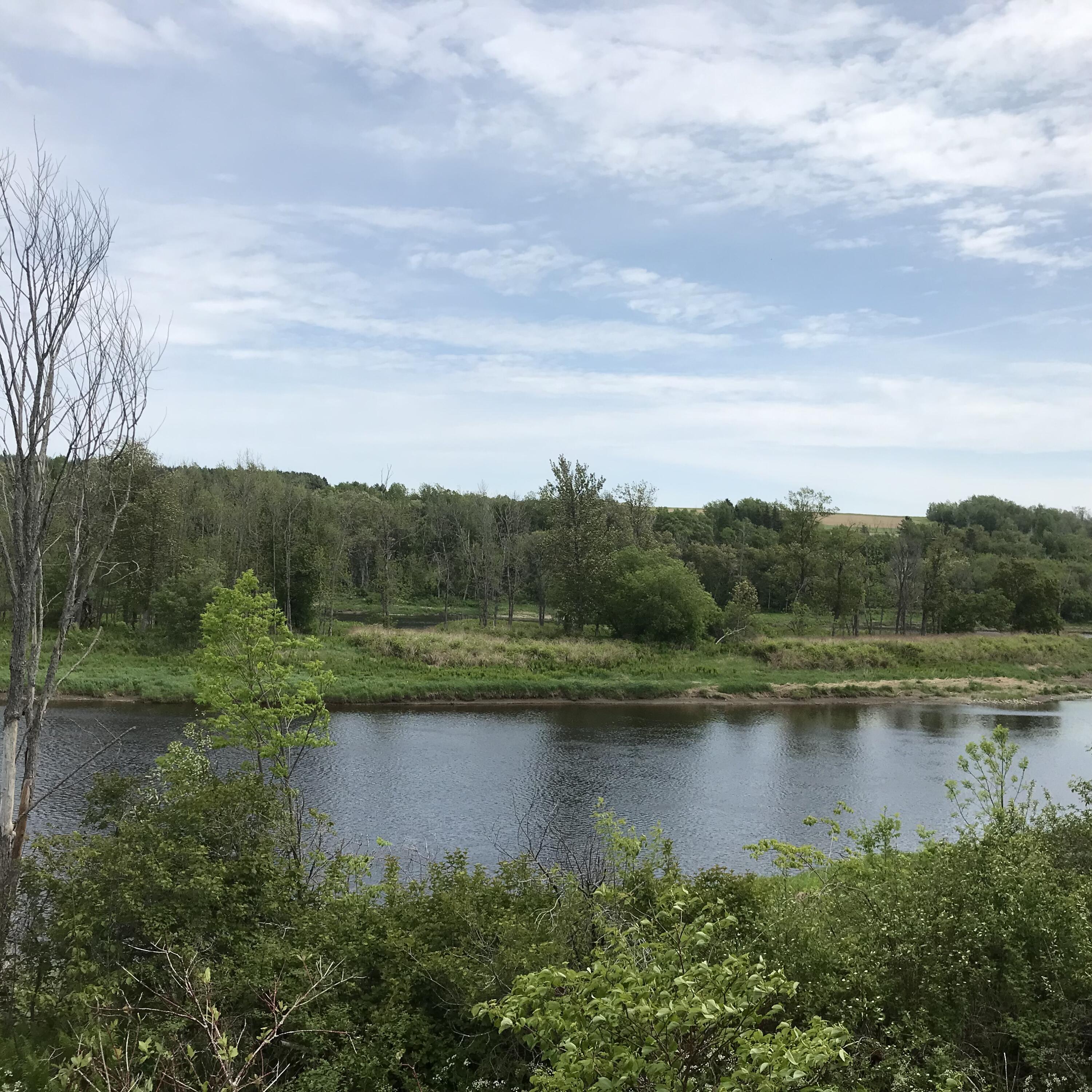 117 South Caribou Road Fort Fairfield, ME 04742 - Photo 12 of 77 View Across the Street