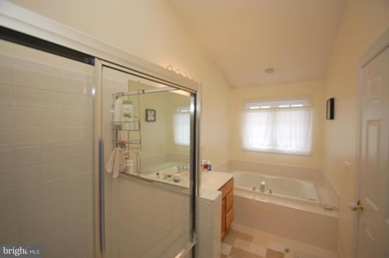 25537 Fretton Square South Riding, VA 20152 - Photo 12 of 23 Master Bath