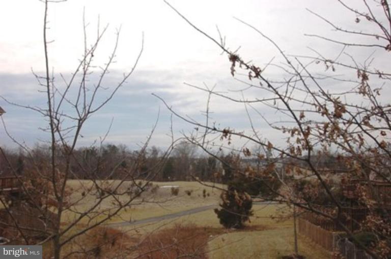 25537 Fretton Square South Riding, VA 20152 - Photo 8 of 23 Golf Course View